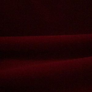 Meet your Posher, Tayler